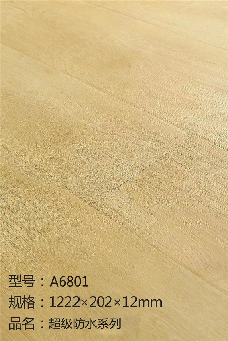 A6801.jpg