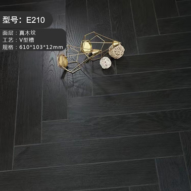 E210