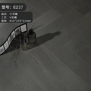 E237