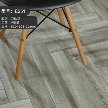 E251