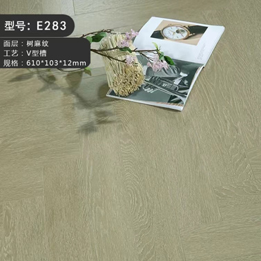 E283