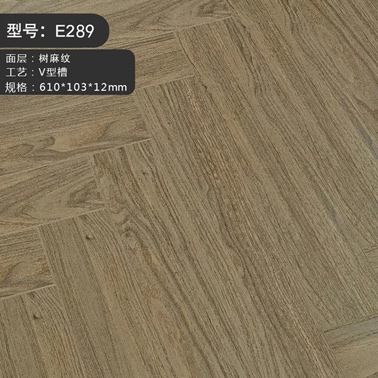 E289