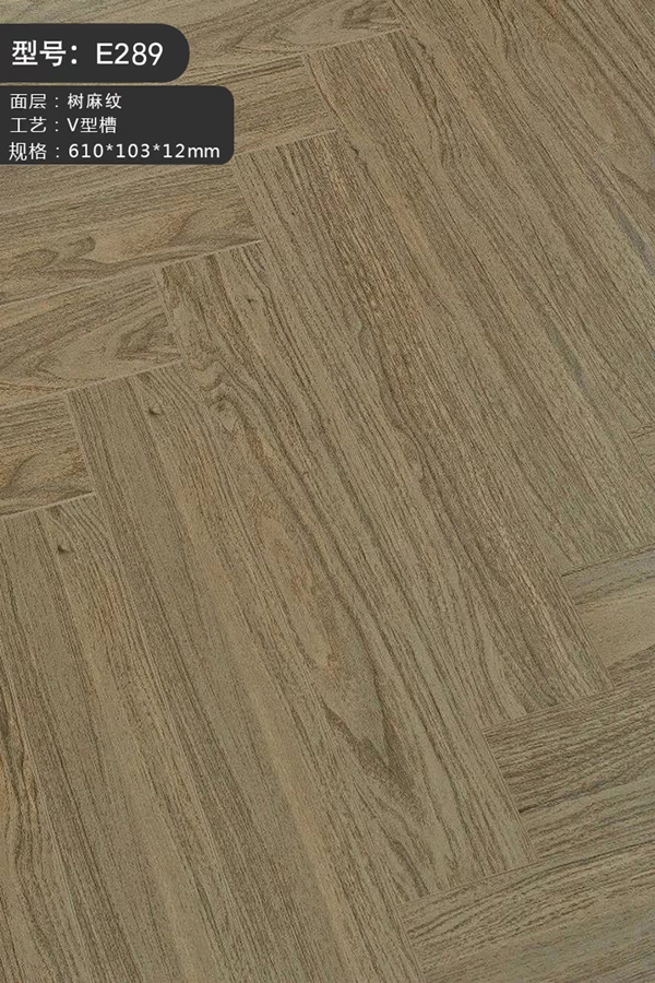 E289b.jpg