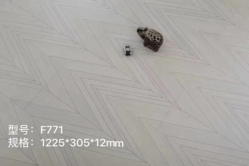F771b.jpg